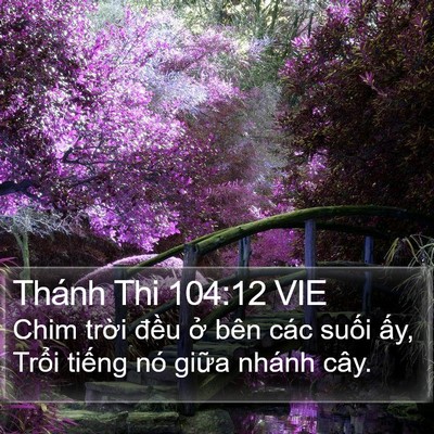 Thánh Thi 104:12 VIE Bible Verse Image