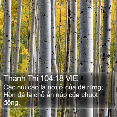 Thánh Thi 104:18 VIE Bible Verse Image