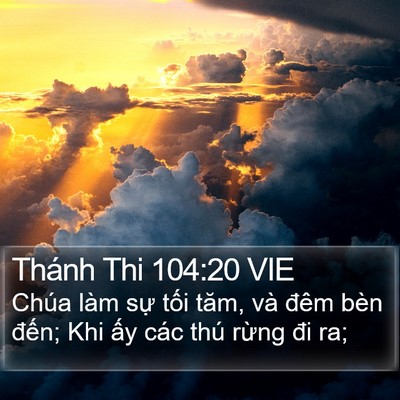 Thánh Thi 104:20 VIE Bible Verse Image