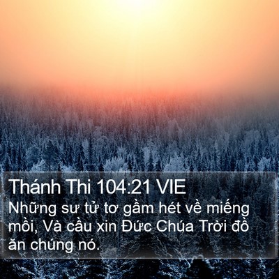 Thánh Thi 104:21 VIE Bible Verse Image