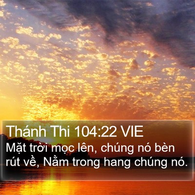 Thánh Thi 104:22 VIE Bible Verse Image