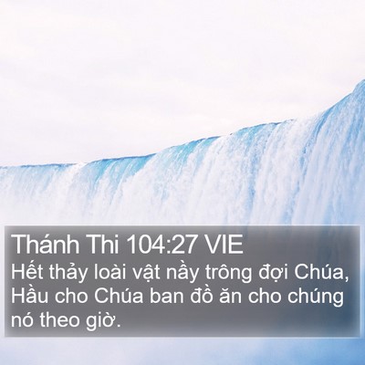 Thánh Thi 104:27 VIE Bible Verse Image