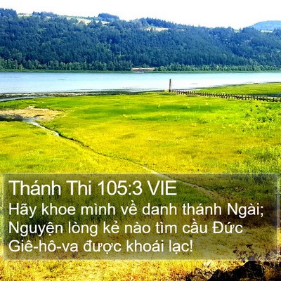 Thánh Thi 105:3 VIE Bible Verse Image