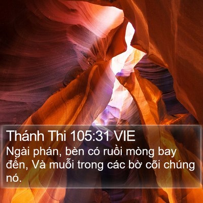 Thánh Thi 105:31 VIE Bible Verse Image