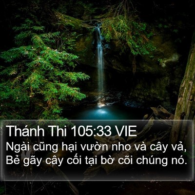 Thánh Thi 105:33 VIE Bible Verse Image