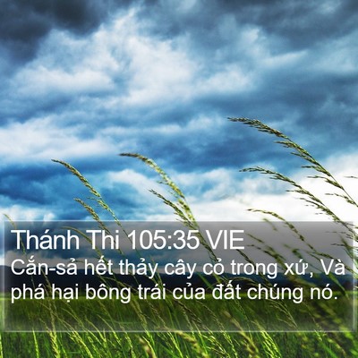 Thánh Thi 105:35 VIE Bible Verse Image