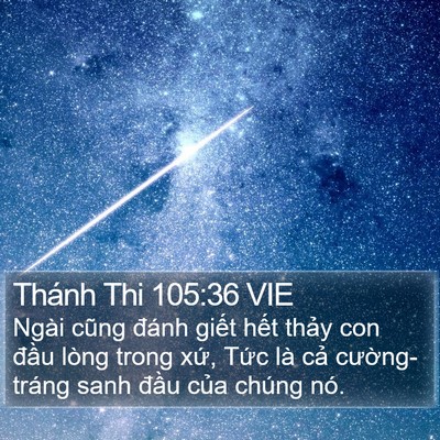 Thánh Thi 105:36 VIE Bible Verse Image