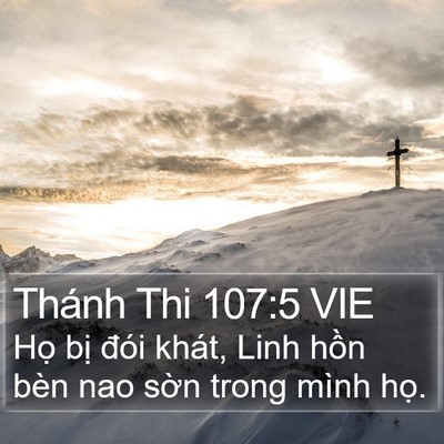 Thánh Thi 107:5 VIE Bible Verse Image