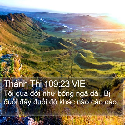 Thánh Thi 109:23 VIE Bible Verse Image