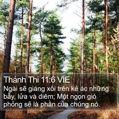 Thánh Thi 11:6 VIE Bible Verse Image