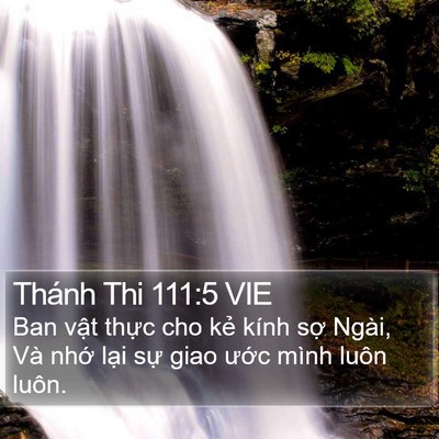 Thánh Thi 111:5 VIE Bible Verse Image