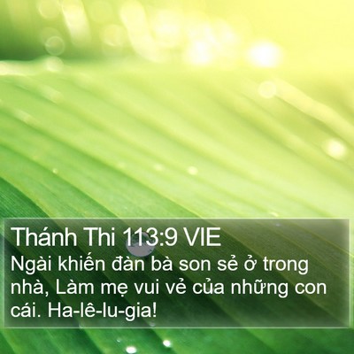 Thánh Thi 113:9 VIE Bible Verse Image