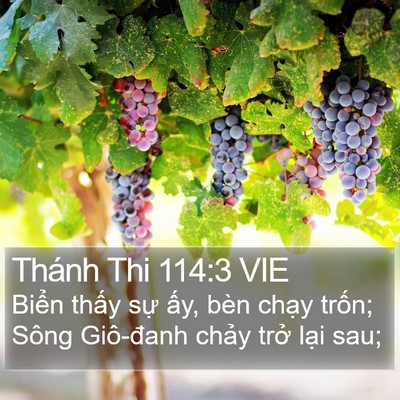 Thánh Thi 114:3 VIE Bible Verse Image