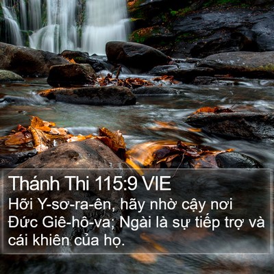 Thánh Thi 115:9 VIE Bible Verse Image