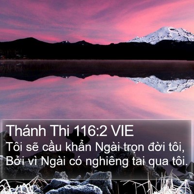 Thánh Thi 116:2 VIE Bible Verse Image