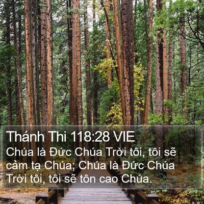 Thánh Thi 118:28 VIE Bible Verse Image