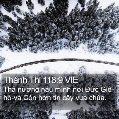 Thánh Thi 118:9 VIE Bible Verse Image