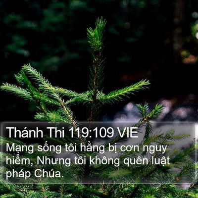 Thánh Thi 119:109 VIE Bible Verse Image