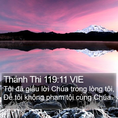 Thánh Thi 119:11 VIE Bible Verse Image