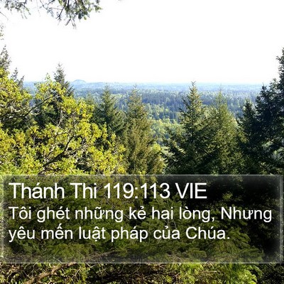 Thánh Thi 119:113 VIE Bible Verse Image