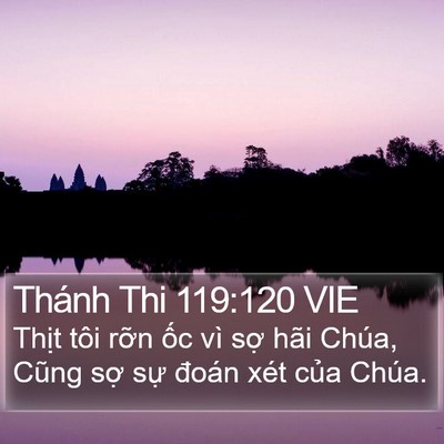 Thánh Thi 119:120 VIE Bible Verse Image