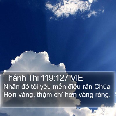 Thánh Thi 119:127 VIE Bible Verse Image