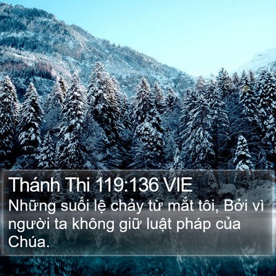 Thánh Thi 119:136 VIE Bible Verse Image