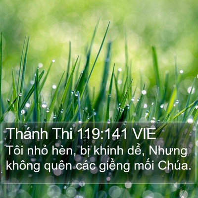 Thánh Thi 119:141 VIE Bible Verse Image