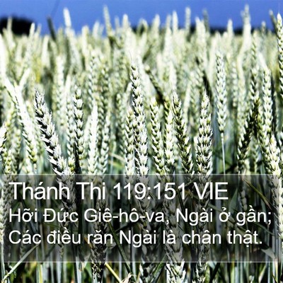 Thánh Thi 119:151 VIE Bible Verse Image