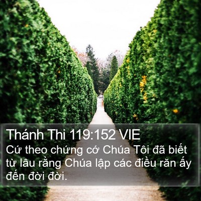 Thánh Thi 119:152 VIE Bible Verse Image