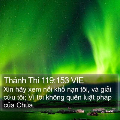 Thánh Thi 119:153 VIE Bible Verse Image