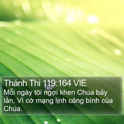 Thánh Thi 119:164 VIE Bible Verse Image