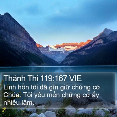 Thánh Thi 119:167 VIE Bible Verse Image
