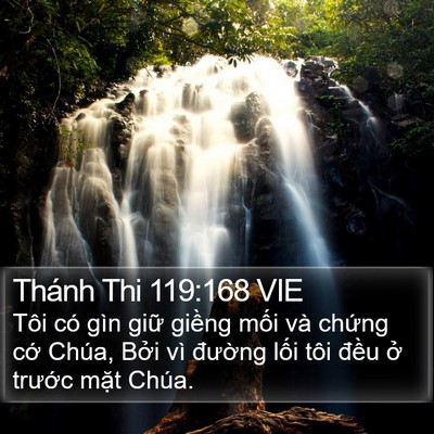 Thánh Thi 119:168 VIE Bible Verse Image