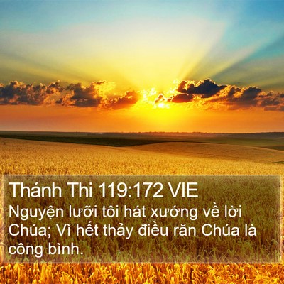 Thánh Thi 119:172 VIE Bible Verse Image