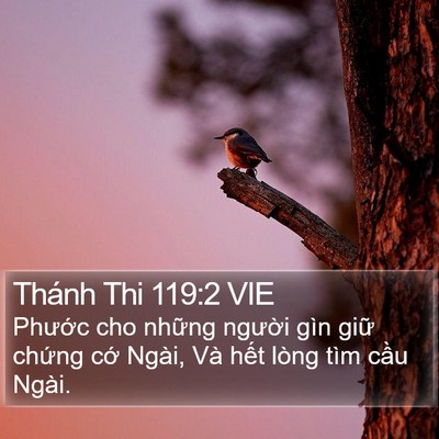 Thánh Thi 119:2 VIE Bible Verse Image