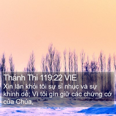 Thánh Thi 119:22 VIE Bible Verse Image