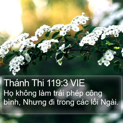 Thánh Thi 119:3 VIE Bible Verse Image
