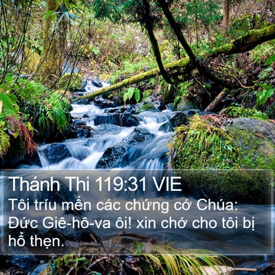 Thánh Thi 119:31 VIE Bible Verse Image
