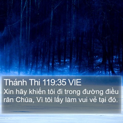 Thánh Thi 119:35 VIE Bible Verse Image