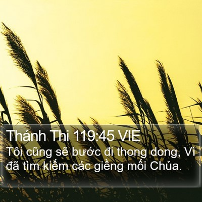 Thánh Thi 119:45 VIE Bible Verse Image