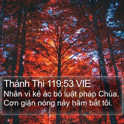 Thánh Thi 119:53 VIE Bible Verse Image