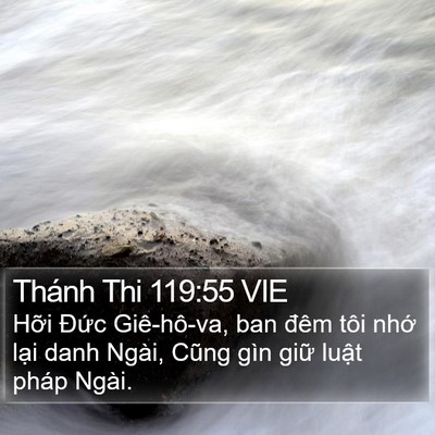 Thánh Thi 119:55 VIE Bible Verse Image