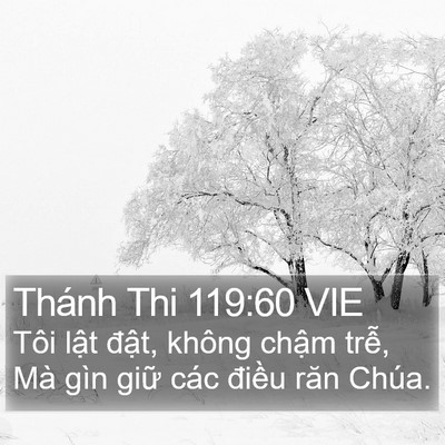 Thánh Thi 119:60 VIE Bible Verse Image