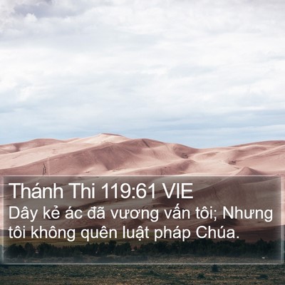 Thánh Thi 119:61 VIE Bible Verse Image