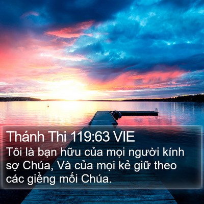 Thánh Thi 119:63 VIE Bible Verse Image