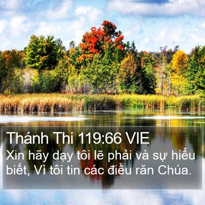 Thánh Thi 119:66 VIE Bible Verse Image