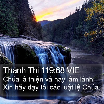 Thánh Thi 119:68 VIE Bible Verse Image
