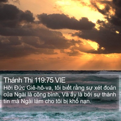 Thánh Thi 119:75 VIE Bible Verse Image
