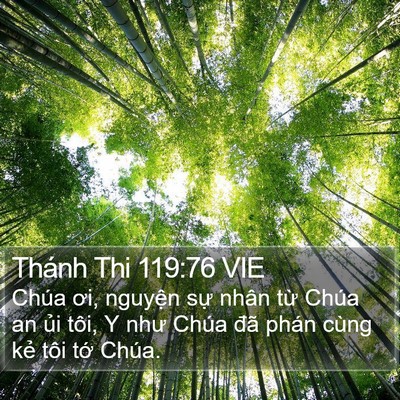 Thánh Thi 119:76 VIE Bible Verse Image